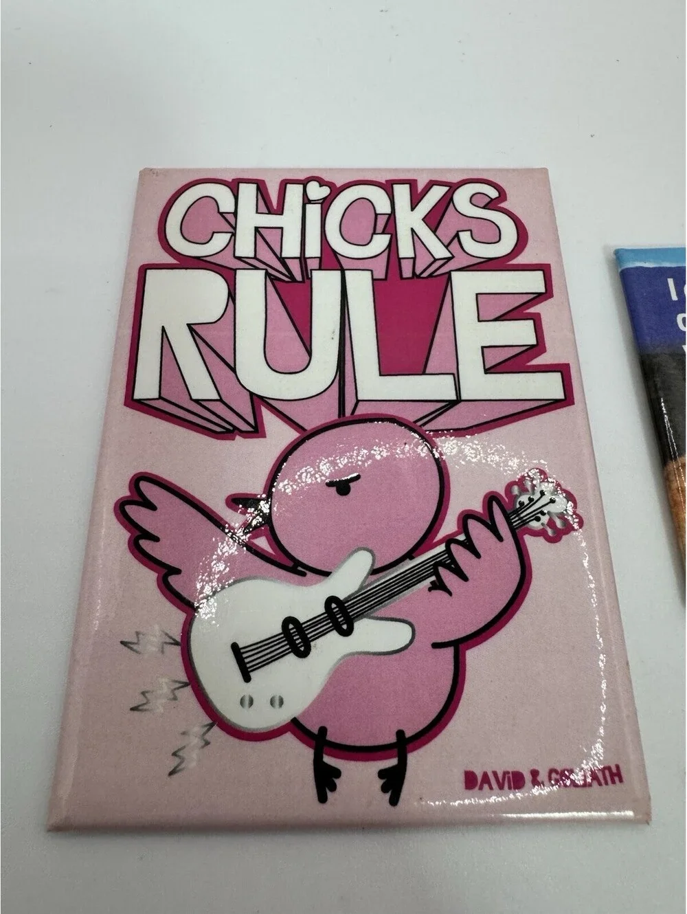 2 Novelty “chicken” Magnets - Chicks Rule